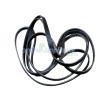 33002535 Drive Belt, Washing Machine, Whirlpool. Genuine Part 33002535 Drive Belt, Washing Machine, Whirlpool. Genuine Part