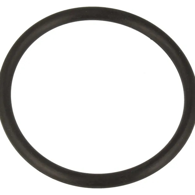 DAU1590962 Heating Element Gasket, Dishwasher, Delonghi. Genuine Part image